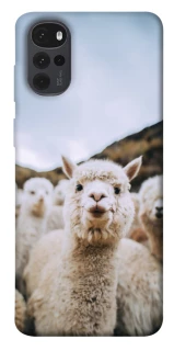 Чохол на Motorola Moto G22 Лама фото 1 з 1