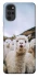Чохол на Motorola Moto G22 Лама фото 1 з 1