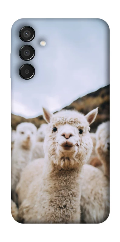 Чохол на Samsung Galaxy M15 5G Лама фото 1 з 1