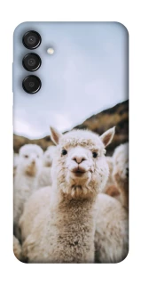 Чохол на Samsung Galaxy M15 5G Лама фото 1 з 1