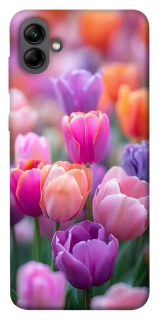 Чохол на Samsung Galaxy A04 Тюльпанове поле фото 1 з 1