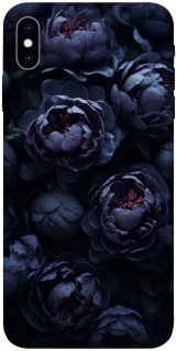 Чехол на Apple iPhone X (5.8") Sunny Snowdrops фото 1 из 1