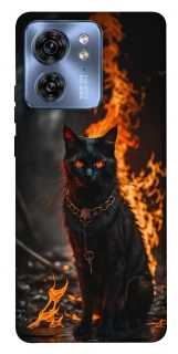 Чехол на Motorola Edge 40 Огненный кот фото 1 из 1