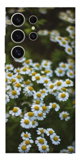 Чехол на Samsung Galaxy S25 Ultra Ромашки v13 фото 1 из 1