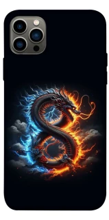 Чохол на Apple iPhone 12 Pro (6.1") Uruboros фото 1 з 1