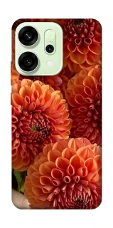Чехол на Oppo Reno 14 Flower1 фото 1 из 1