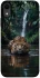 Чохол на Apple iPhone XR (6.1") Leopard in water фото 1 з 1