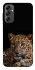 Чехол на Samsung Galaxy A14 4G/5G Leopard v4 фото 1 из 1