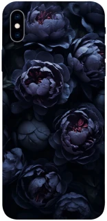 Чохол на Apple iPhone XS Max (6.5") Sunny Snowdrops фото 1 з 1