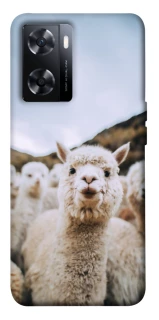 Чохол на OnePlus Nord N20 SE Лама фото 1 з 1