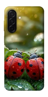 Чохол на Samsung Galaxy A26 5G Flowers v23 фото 1 з 1