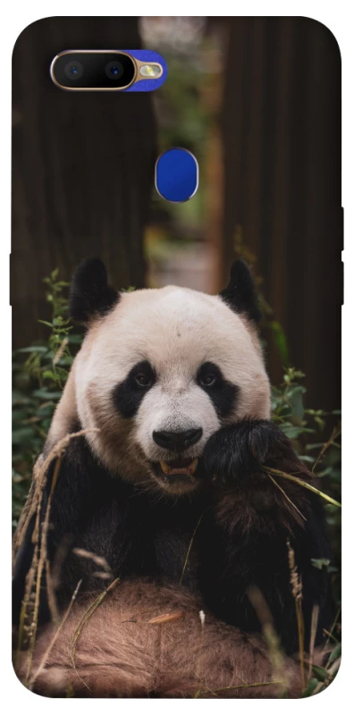 Чохол на Oppo A5s Панда фото 1 з 1