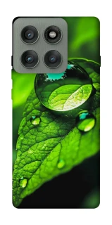 Чехол на Motorola Edge 60 Pro Flowers v16 фото 1 из 1