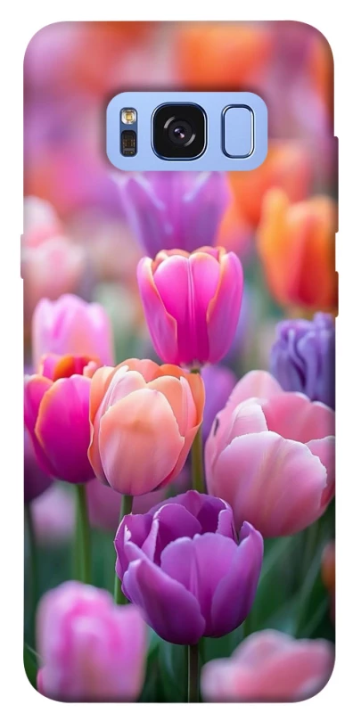 Чохол на Samsung G950 Galaxy S8 Тюльпанове поле фото 1 з 1