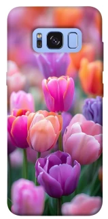 Чохол на Samsung G950 Galaxy S8 Тюльпанове поле фото 1 з 1
