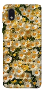 Чехол на Samsung Galaxy M01 Core / A01 Core Camomile фото 1 из 1