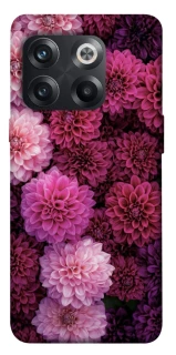 Чехол на OnePlus 10T Garden1 фото 1 из 1