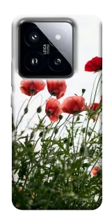 Чохол на Xiaomi 14 Pro Поле маків фото 1 з 1