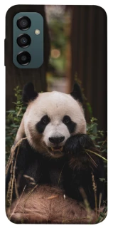 Чехол на Samsung Galaxy M34 5G Панда фото 1 из 1