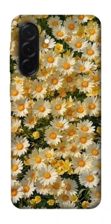 Чохол на Samsung Galaxy A37 5G Camomile фото 1 з 1