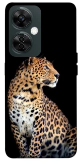 Чехол на OnePlus Nord CE 3 Lite Leopard v2 фото 1 из 1