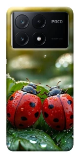 Чохол на Xiaomi Poco X6 Flowers v23 фото 1 з 1