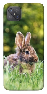 Чохол на Oppo A92s Кролики фото 1 з 1