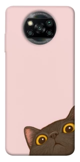 Чохол на Xiaomi Poco X3 NFC / Poco X3 Pro Peeping cat фото 1 з 1