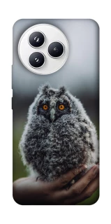 Чехол на Xiaomi Civi 5 Pro Совёнок фото 1 из 1