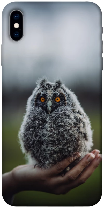 Чехол на Apple iPhone X (5.8") Совёнок фото 1 из 1