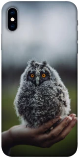 Чохол на Apple iPhone X (5.8") Совеня фото 1 з 1