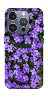 Чохол на Apple iPhone 16 Pro Flowers v17 фото 1 з 1