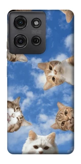 Чохол на Motorola Moto G75 Сats фото 1 з 1