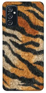 Чохол на Samsung Galaxy M52 Tiger фото 1 з 1