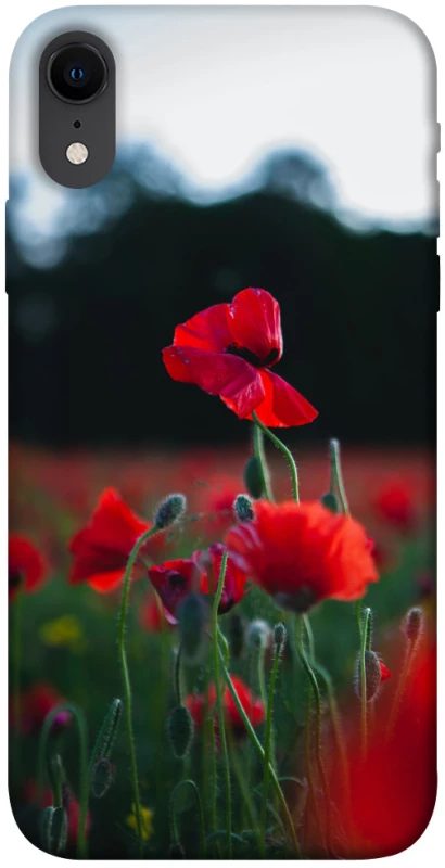 Чохол на Apple iPhone XR (6.1") Мак фото 1 з 1