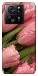 Чохол на Xiaomi 13T Pro Beauty фото 1 Чохол на Xiaomi 13T Pro Beauty фото 1 з 1
