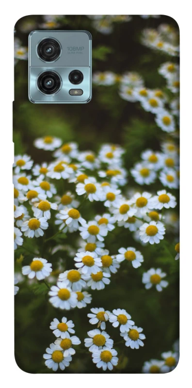 Чохол на Motorola Moto G72 Ромашки v13 фото 1 з 1