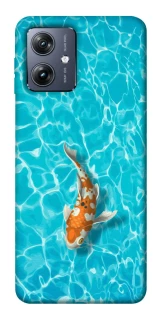 Чохол на Motorola Moto G54 Fish фото 1 Чохол на Motorola Moto G54 Fish фото 1 з 1
