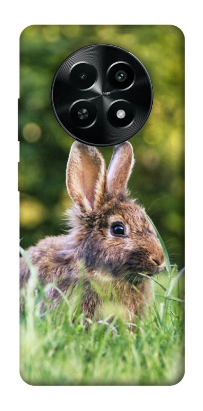 Чехол на Realme Narzo 70x Кролики фото 1 из 1