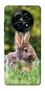 Чехол на Realme Narzo 70x Кролики фото 1 из 1