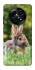 Чехол на Realme Narzo 70x Кролики фото 1 из 1