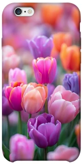 Чохол на Apple iPhone 6/6s (4.7") Тюльпанове поле фото 1 з 1