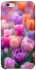 Чохол на Apple iPhone 6/6s (4.7") Тюльпанове поле фото 1 з 1