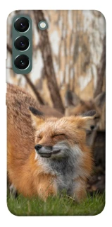 Чехол на Samsung Galaxy S22+ Лиса фото 1 из 1
