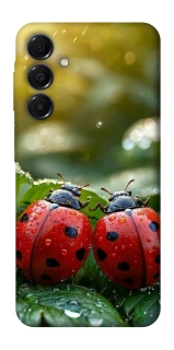 Чохол на Samsung Galaxy A16 4G/5G Flowers v23 фото 1 з 1