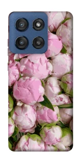 Чохол на Motorola Edge 60 Stylus Nature’s Elegance фото 1 з 1