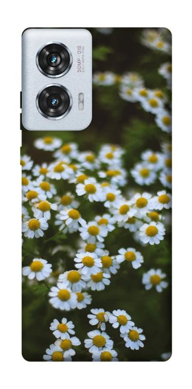 Чохол на Motorola Edge 50 Fusion Ромашки v13 фото 1 з 1