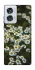 Чохол на Motorola Edge 50 Fusion Ромашки v13 фото 1 з 1