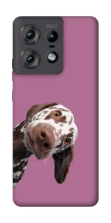 Чехол на Motorola Edge 50 Pro А что тут фото 1 из 1