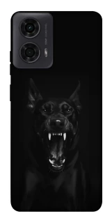 Чохол на Motorola Moto G24 Доберман фото 1 з 1